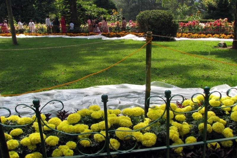 Low-cost Ooty trip packages